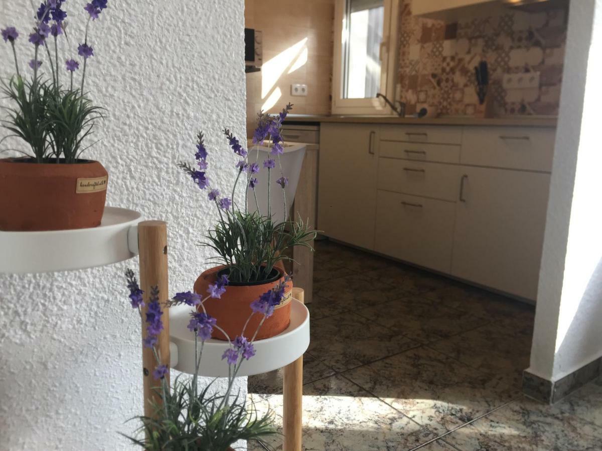Casa Llurgo Villa Deltebre Dış mekan fotoğraf